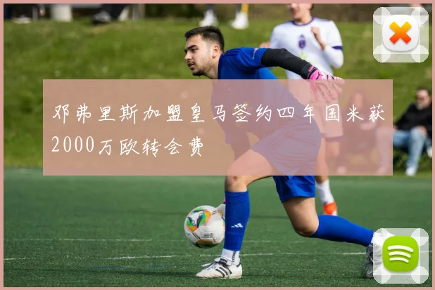 邓弗里斯加盟皇马签约四年国米获2000万欧转会费